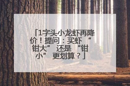 1字头小龙虾再降价！提问：买虾 “钳大” 还是 “钳小” 更划算？