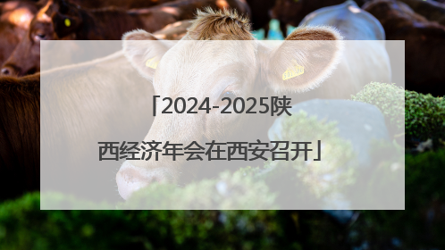 2024-2025陕西经济年会在西安召开