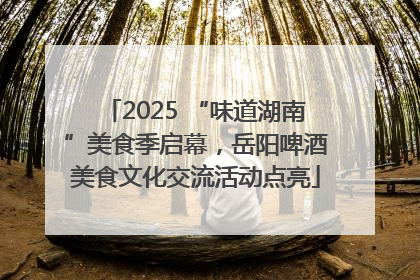 2025 “味道湖南”美食季启幕，岳阳啤酒美食文化交流活动点亮