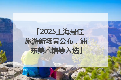 2025上海最佳旅游新场景公布，浦东美术馆等入选