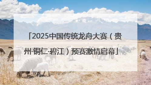 2025中国传统龙舟大赛（贵州·铜仁·碧江）预赛激情启幕