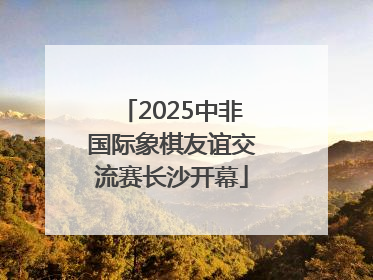 2025中非国际象棋友谊交流赛长沙开幕