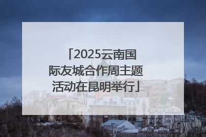 2025云南国际友城合作周主题活动在昆明举行