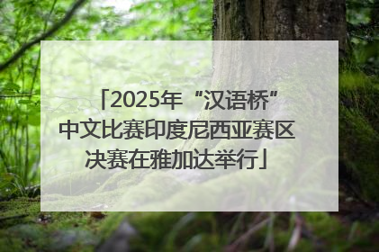 2025年“汉语桥”中文比赛印度尼西亚赛区决赛在雅加达举行