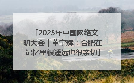 2025年中国网络文明大会｜董宇辉：合肥在记忆里很遥远也很亲切