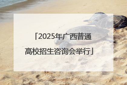 2025年广西普通高校招生咨询会举行