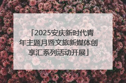 2025安庆新时代青年主题月暨文旅新媒体创享汇系列活动开展