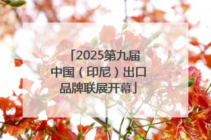 2025第九届中国（印尼）出口品牌联展开幕