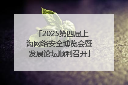 2025第四届上海网络安全博览会暨发展论坛顺利召开
