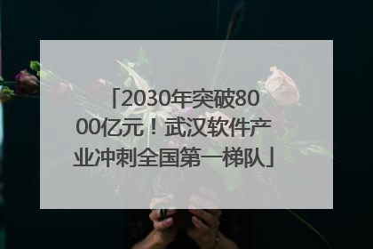 2030年突破8000亿元！武汉软件产业冲刺全国第一梯队