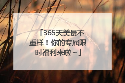 365天美景不重样！你的专属限时福利来啦～