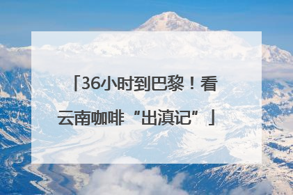 36小时到巴黎！看云南咖啡“出滇记”