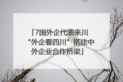 7国外企代表来川 “外企看四川”搭建中外企业合作桥梁