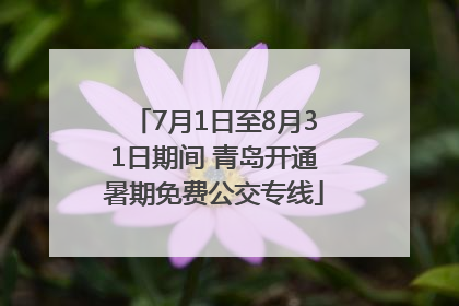 7月1日至8月31日期间 青岛开通暑期免费公交专线