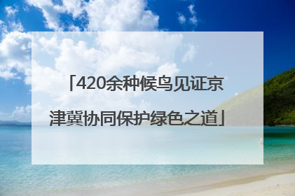 420余种候鸟见证京津冀协同保护绿色之道
