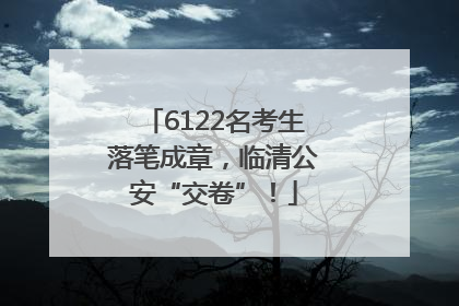6122名考生落笔成章，临清公安“交卷”！
