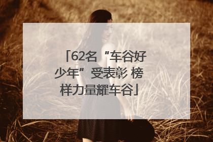 62名“车谷好少年”受表彰 榜样力量耀车谷