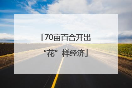 70亩百合开出“花”样经济