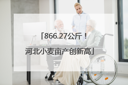 866.27公斤！河北小麦亩产创新高