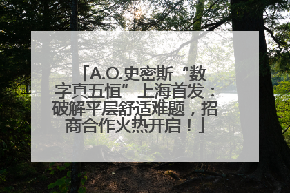 A.O.史密斯“数字真五恒”上海首发：破解平层舒适难题，招商合作火热开启！