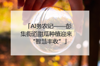 AI务农记——彭集街道甜瓜种植迎来“智慧丰收”