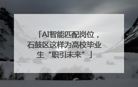 AI智能匹配岗位，石鼓区这样为高校毕业生“职引未来”