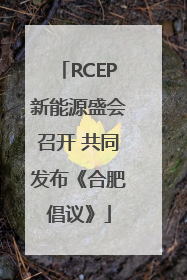 RCEP新能源盛会召开 共同发布《合肥倡议》