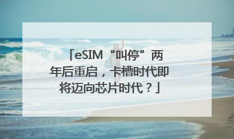 eSIM“叫停”两年后重启，卡槽时代即将迈向芯片时代？